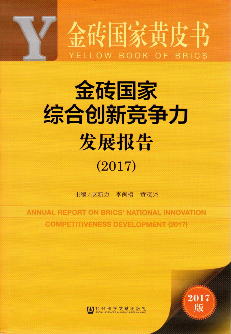 猛插操逼小骚逼喷潮撒尿高清视频免费播放金砖国家综合创新竞争力发展报告（2017）